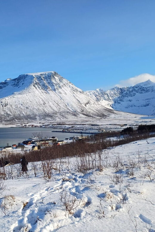 Grøtfjord, Tromsø. Unique Artic scenic route. - Who Will Love This Tour?
