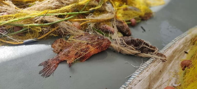 Group Morning Tour to Polyaigos - Stops and Activities: A Mix of Sightseeing, Swimming, and Snorkeling