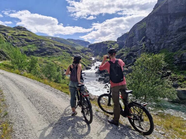 Guided, electric bicycle tour from Vatnahalsen (near Flam) - The Experience from the Traveler’s Perspective