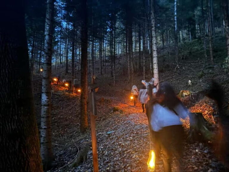 Guided llamawalk with a traditional, homemade cheesefondue - Discovering the Charm of the Llamawalk Experience