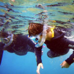 Guided Snorkelling experience in south of Gran Canaria - An In-Depth Look at the Snorkeling Tour in South Gran Canaria