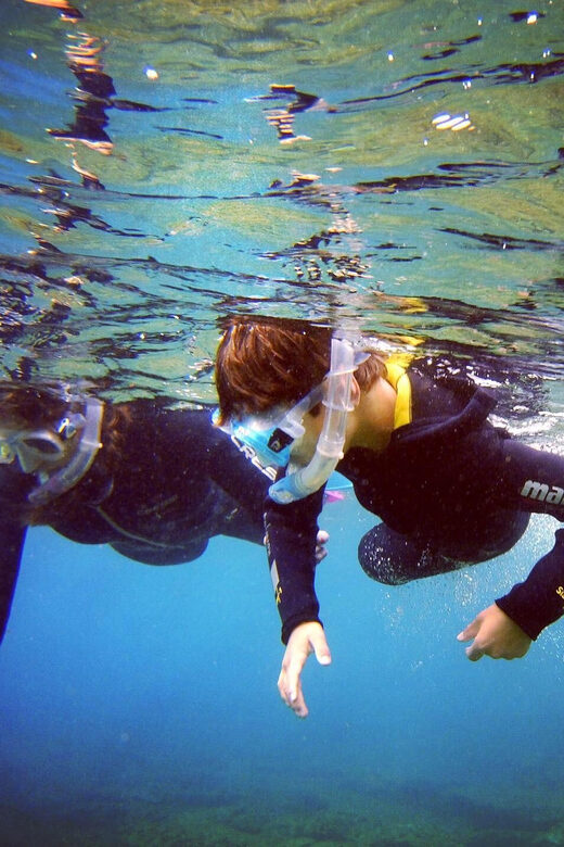 Guided Snorkelling experience in south of Gran Canaria - An In-Depth Look at the Snorkeling Tour in South Gran Canaria