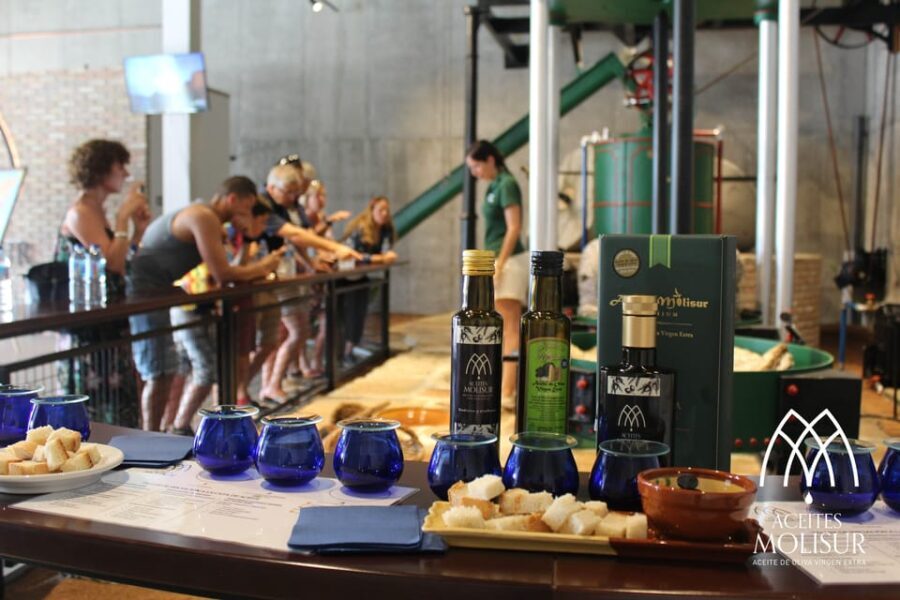 Guided tour and oil tasting at the Aceites Molisur factory - A Balanced View: Potential Drawbacks