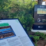 Guided Tour at BiBo Park: Ibiza's Biotech Botanical Garden - Authentic Feedback from Visitors