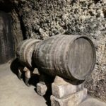 Guided tour of Bodegas J.F. Iradier, Rioja Alavesa - Who is this tour best suited for?