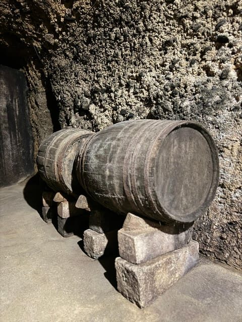 Guided tour of Bodegas J.F. Iradier, Rioja Alavesa - Who is this tour best suited for?