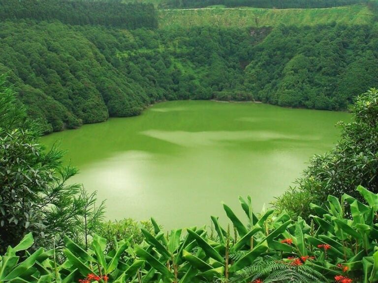 Guided Tour to the green & blue Lake of Sete Cidades - Practical Details and Value