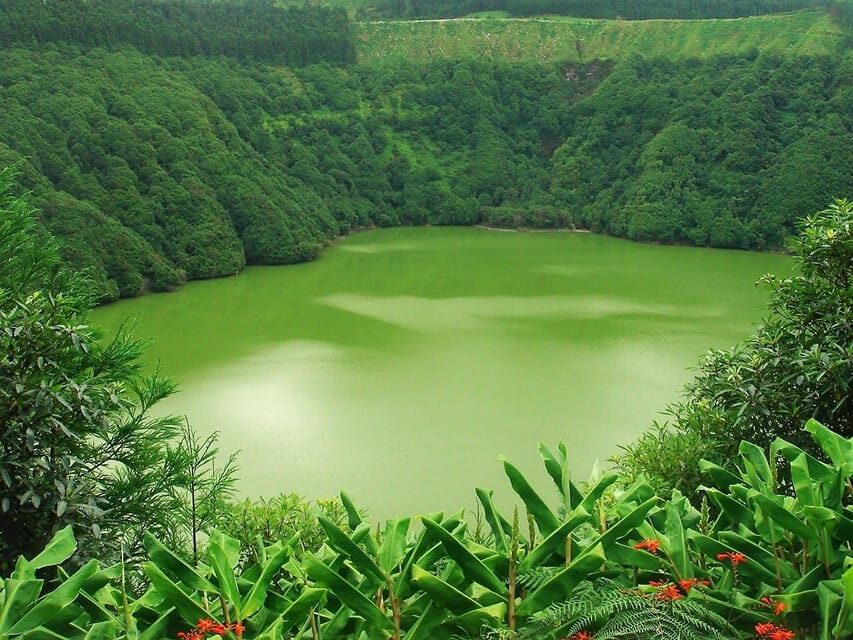 Guided Tour to the green & blue Lake of Sete Cidades - Practical Details and Value