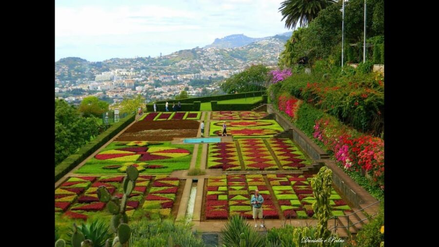 Guided Tuk-Tuk Tour to Botanical Garden (From Funchal) - Who Will Enjoy This Tour?