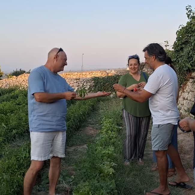Guided visit to the Medieval Gardens of Ostuni - Why This Tour Represents Good Value