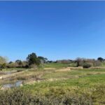 Gulf of Morbihan: from Auray to the inner shores and back via St Goustan - Practical Details and Value