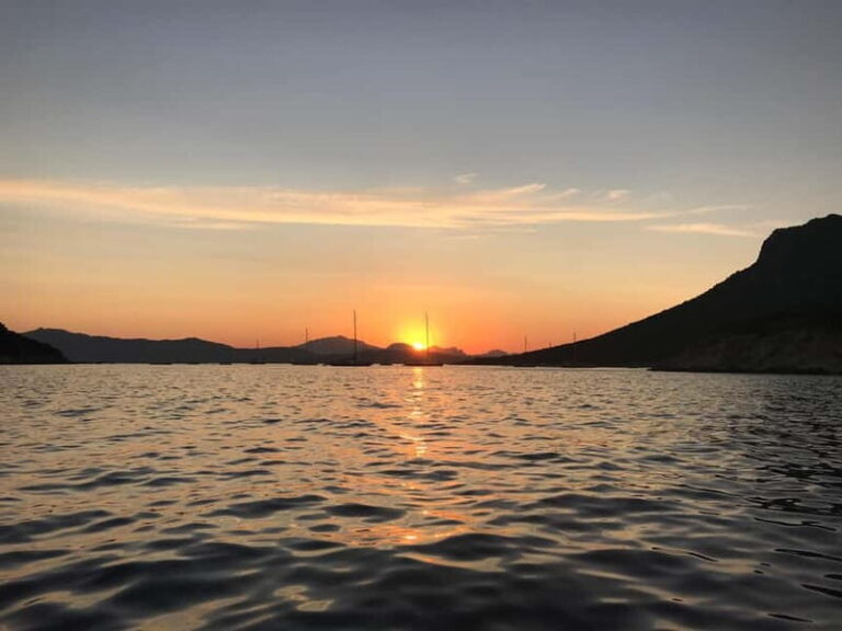 Gulf of Olbia: Dolphin watching by dinghy - An In-Depth Look at the Experience