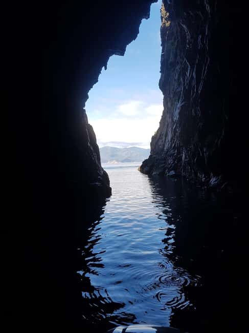 Gulf of Porto: Check out the Calanques de Piana and/or the Scandola Reserve - What Makes This Tour Stand Out?