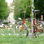 Haidhausen: Insider Tour! Secrets in Munich's French Quarter - Authentic Experiences and Insider Insights