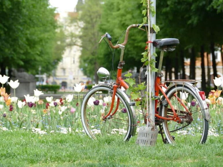 Haidhausen: Insider Tour! Secrets in Munich's French Quarter - Authentic Experiences and Insider Insights