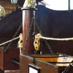 Half-day Lusitanian Horses & Photography Museum private tour - Why This Tour Works Well