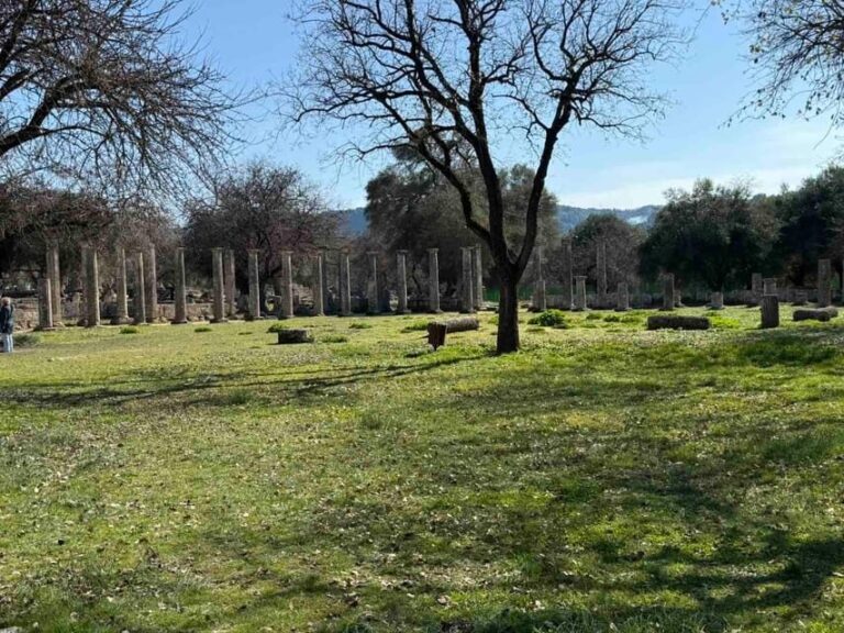 Half Day Private tour from Katakolon to Olympia - Free Time in Olympia: Culture, Cuisine, and Strolling