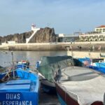 Half Day tour with Madeira Wine tasting - Exploring the Itinerary in Detail