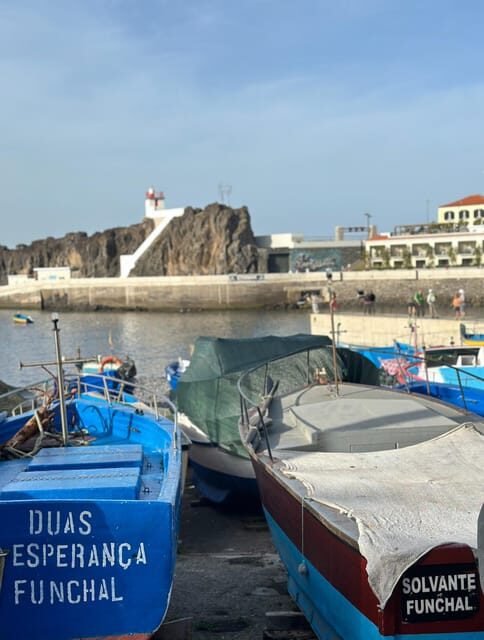 Half Day tour with Madeira Wine tasting - Exploring the Itinerary in Detail