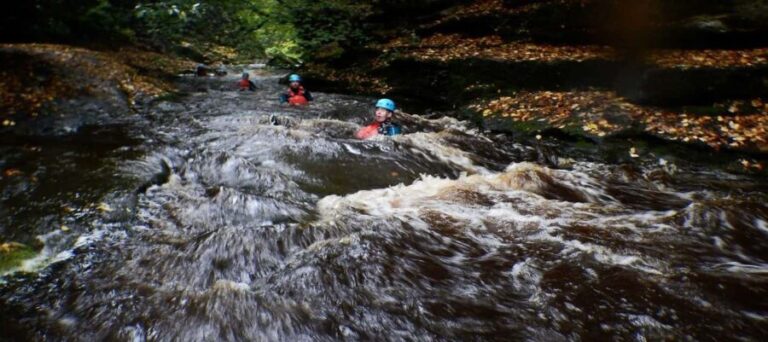 Harrogate: How Stean 3 in 1 Experience - An In-Depth Look at the How Stean 3 in 1 Experience