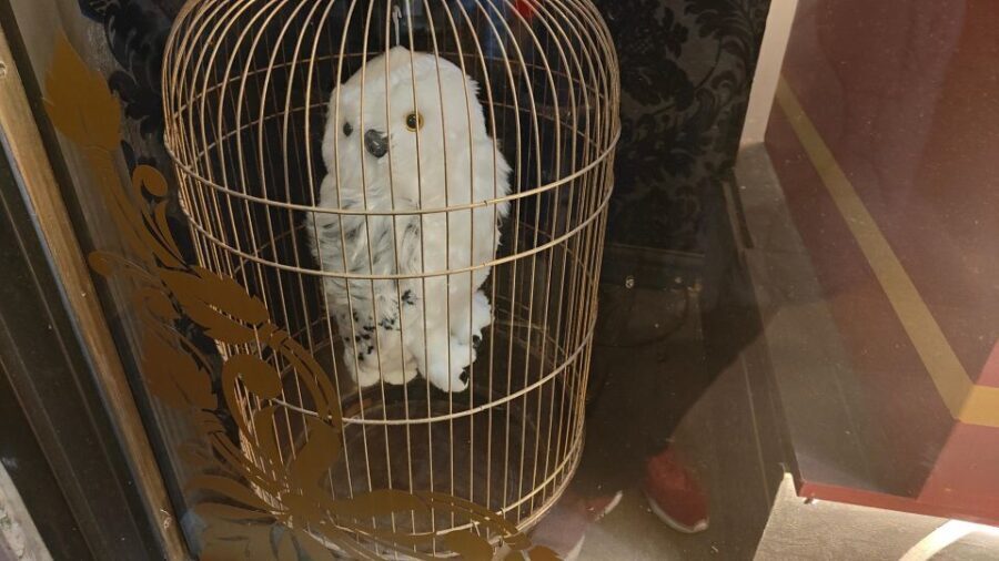 Harry Potter in London - Private Walking Tour - Who Will Love This Tour?