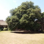 Harry Potter Tour New College Private Group Tour - The Practicalities: What to Expect