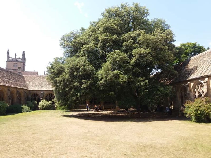 Harry Potter Tour New College Private Group Tour - The Practicalities: What to Expect