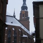 Heidelberg: 2-Hour Crime Tour with Costumed Guide - What to Expect on the Tour