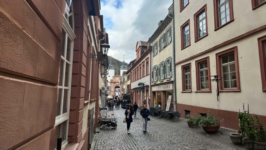 Heidelberg: Experience our history 1.5-hour walking tour through the old town - The Guides: Bringing Heidelberg to Life