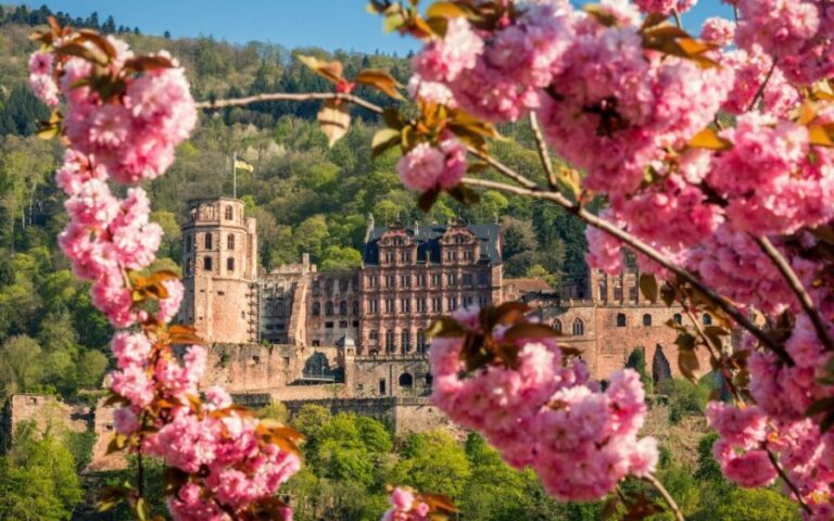 Heidelberg: Sightseeing Bus and Castle Tour - Pricing and Value