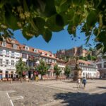 Heidelberg: Walking Tour of the Old Town - The Bottom Line