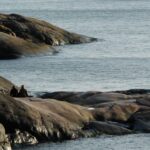 Helsinki: City and Outer Islands Guided RIB Boat Tour - A Deep Dive into the Helsinki RIB Experience