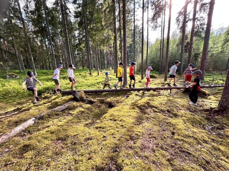 Helsinki: Guided Nature Experience with Campfire and Meal - The Practicalities