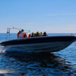 Helsinki: Private RIB Boat Cruise with Snacks and Drinks - Who Will Love This Tour?