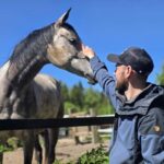 Helsinki: Reindeer Park and Horse Stable Private Tour - The Value of the Experience