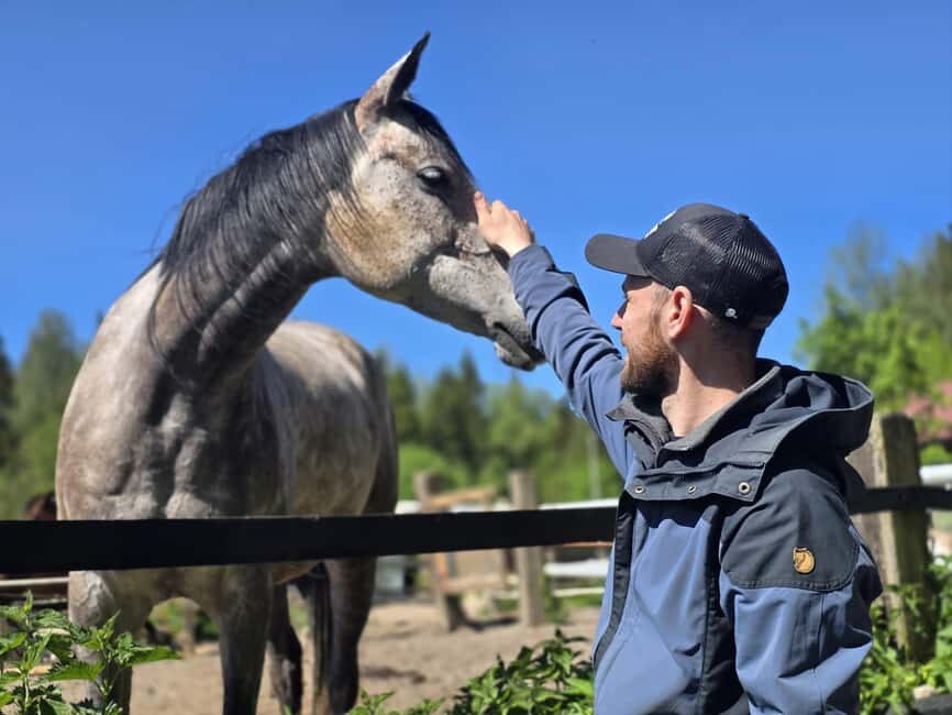 Helsinki: Reindeer Park and Horse Stable Private Tour - The Value of the Experience