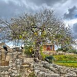 Heraklion: Archeological Museum of Heraklion Entrance & Tour - What Makes the Tour Stand Out?