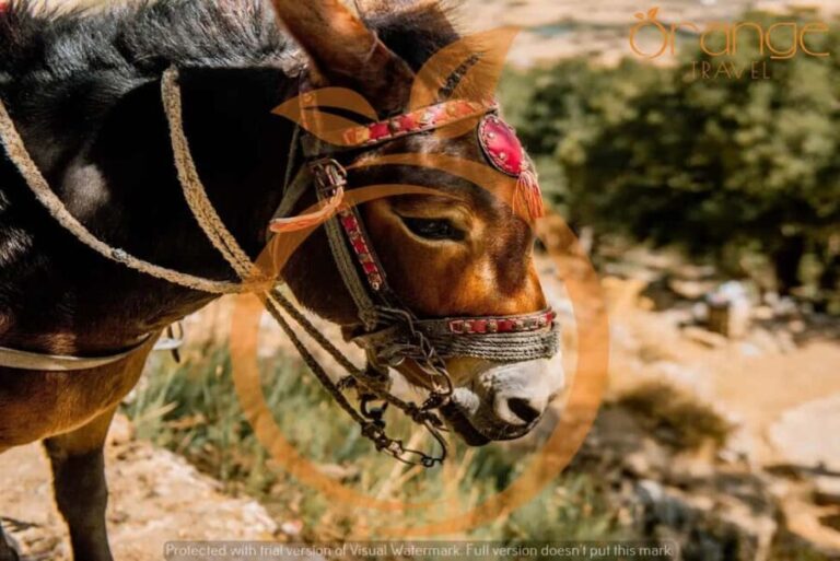 Heraklion areas :Half-Day Lasithi Plateau-Mythology Park - The Monastery of Panagia Kera Kardiotissa