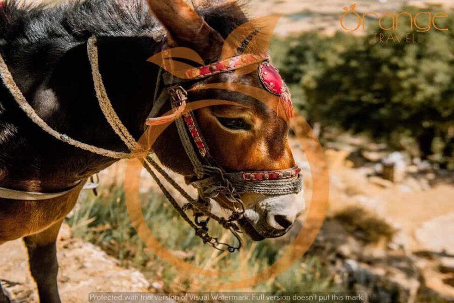 Heraklion areas :Half-Day Lasithi Plateau-Mythology Park - The Monastery of Panagia Kera Kardiotissa