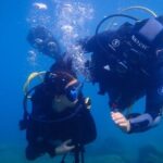 Heraklion: Scuba Diving Experience for First-Timers - What’s Included and What to Expect