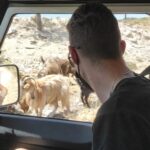 Heraklion: Self-Driving 4X4 Jeep Off-Road Tour with Lunch - Exploring Crete’s Wild Side: A Detailed Review