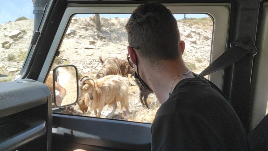 Heraklion: Self-Driving 4X4 Jeep Off-Road Tour with Lunch - Exploring Crete’s Wild Side: A Detailed Review