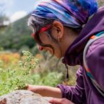 Herbalism and Wildlife (Small group experience) - Why This Tour Works for Different Travelers