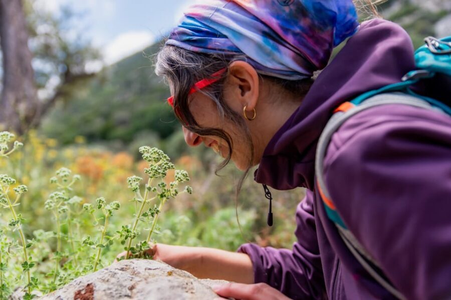 Herbalism and Wildlife (Small group experience) - Why This Tour Works for Different Travelers