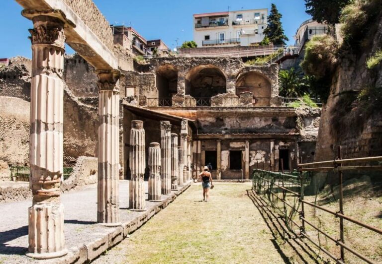 Herculaneum Guided Walking Tour with Entry Ticket - The Practical Side: Logistics & Value