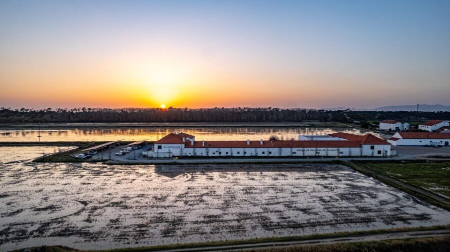 Herdade da Comporta Premium Winetasting - Who is This Tour Best For?