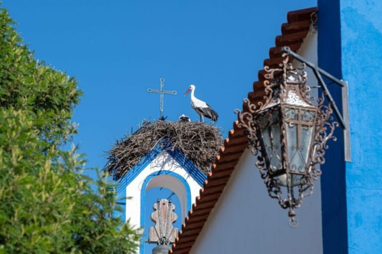 Herdade da Comporta Reserve Winetasting - The Setting: Scenic and Inviting