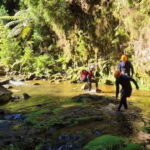 High Canyoning: Medium-High Level Canyoning Tour - The Value of This Experience