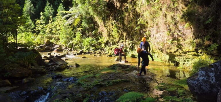 High Canyoning: Medium-High Level Canyoning Tour - The Value of This Experience