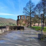 High Lights of Heidelberg - Private Tour of Castle and Town - Authentic Experiences and Real Feedback